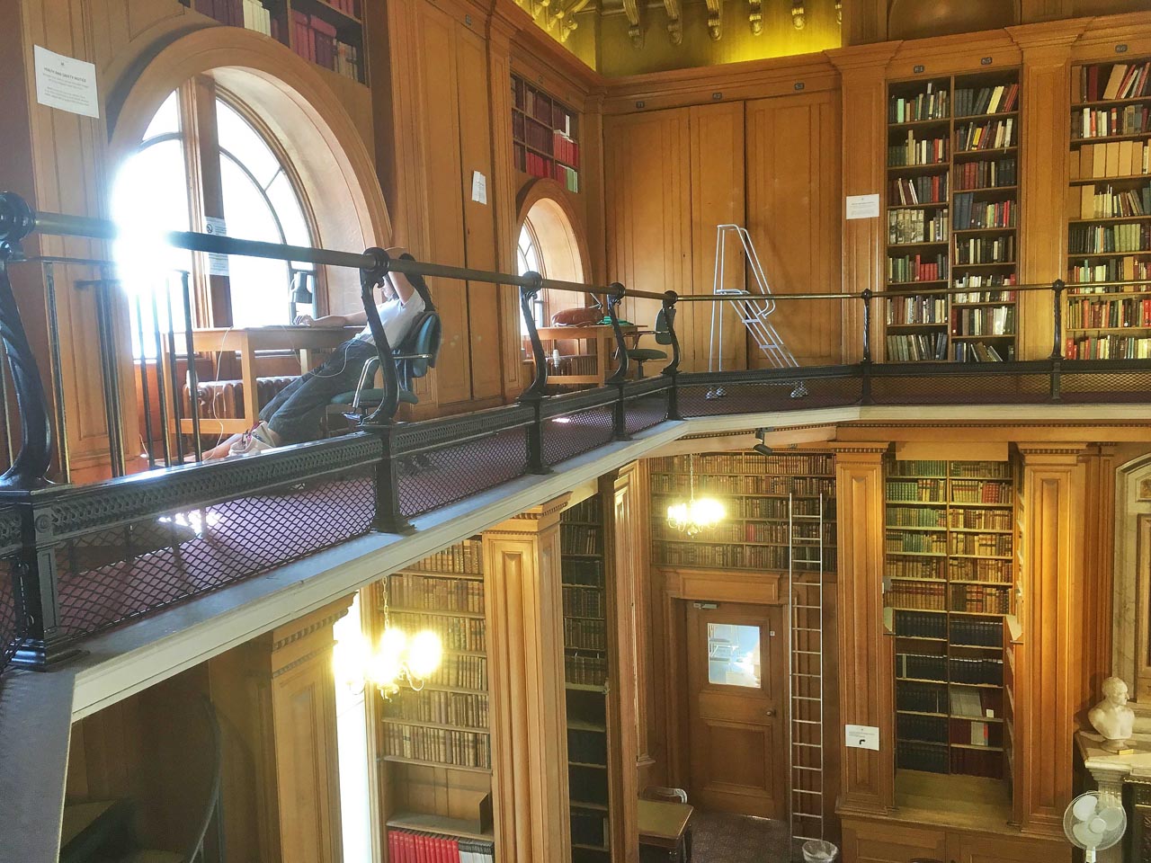 Bespoke frame elastic nets under railings in a library at the University of Oxford